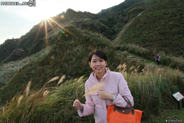 芒花拾穗~草嶺古道芒花季