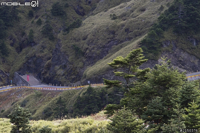 挑戰意志力極限的一次環島(合歡山&天池)
