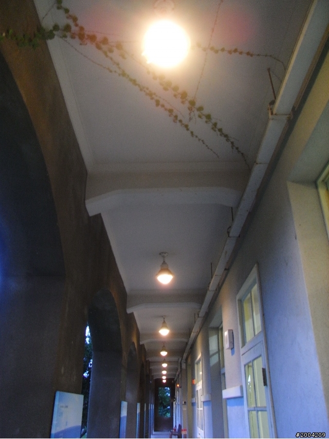 2011豬與猴環島之旅(上)