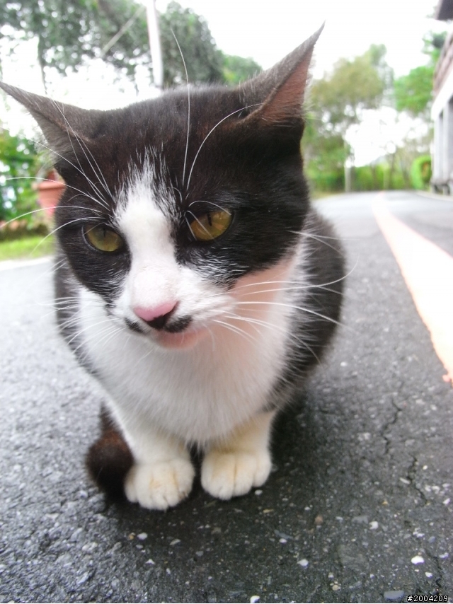 2011豬與猴環島之旅(上)