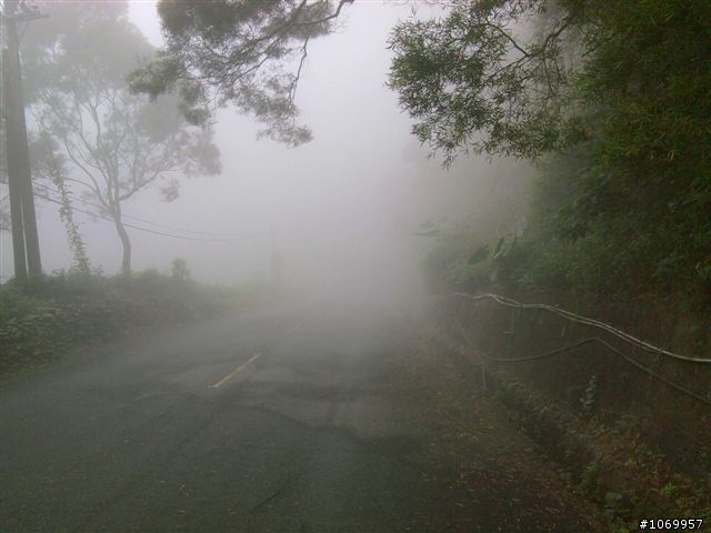 2011雲霧中的泰武單車遊