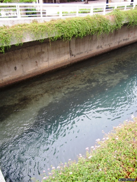 【城市漫遊Ⅰ】發現幸福川