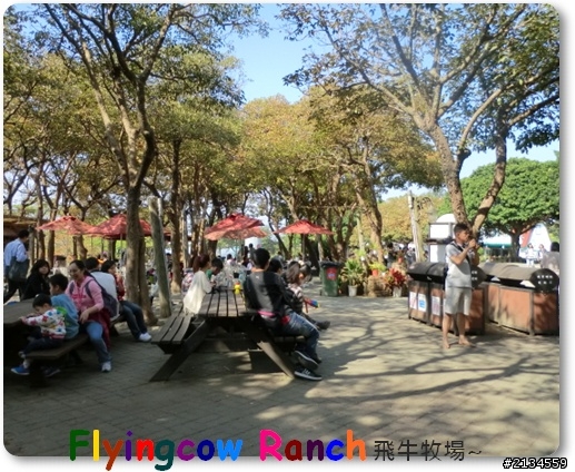 飛牛牧場一日遊(灑花)