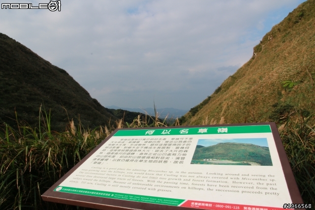 芒花拾穗~草嶺古道芒花季