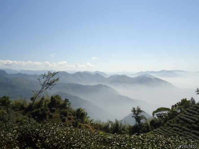 2012/01/27嘉義竹崎獨立山-大巃頂-安靖古道