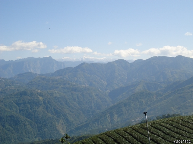 2012/01/27嘉義竹崎獨立山-大巃頂-安靖古道