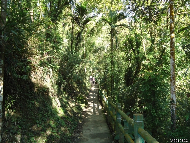2012/01/27嘉義竹崎獨立山-大巃頂-安靖古道