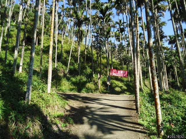 2012/01/27嘉義竹崎獨立山-大巃頂-安靖古道