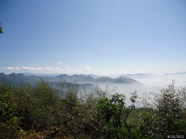 2012/01/27嘉義竹崎獨立山-大巃頂-安靖古道
