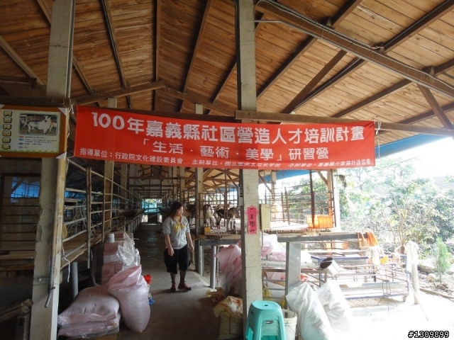 紫線給你,嘉義鐵馬逍遙遊