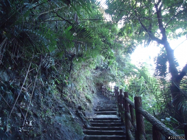 2012/01/27嘉義竹崎獨立山-大巃頂-安靖古道