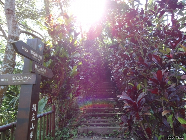 2012/01/27嘉義竹崎獨立山-大巃頂-安靖古道