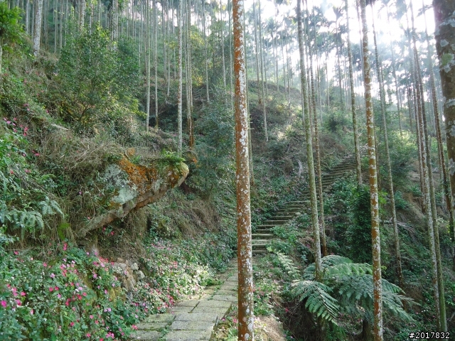 2012/01/27嘉義竹崎獨立山-大巃頂-安靖古道