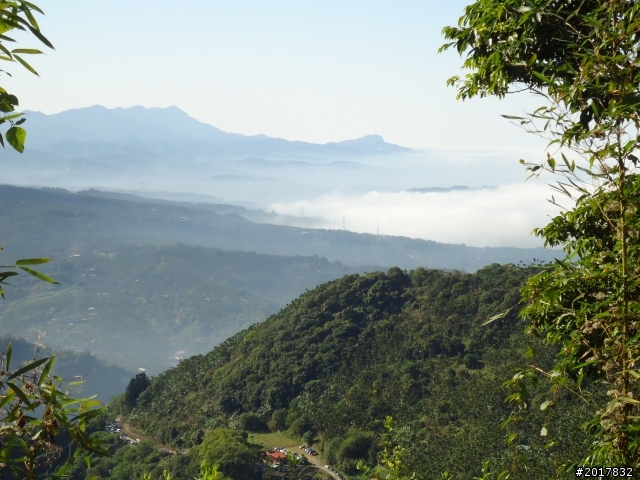 2012/01/27嘉義竹崎獨立山-大巃頂-安靖古道