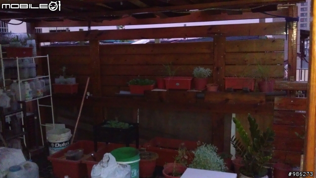 拖了3年的南方松空中花園~以完成8~9成!!