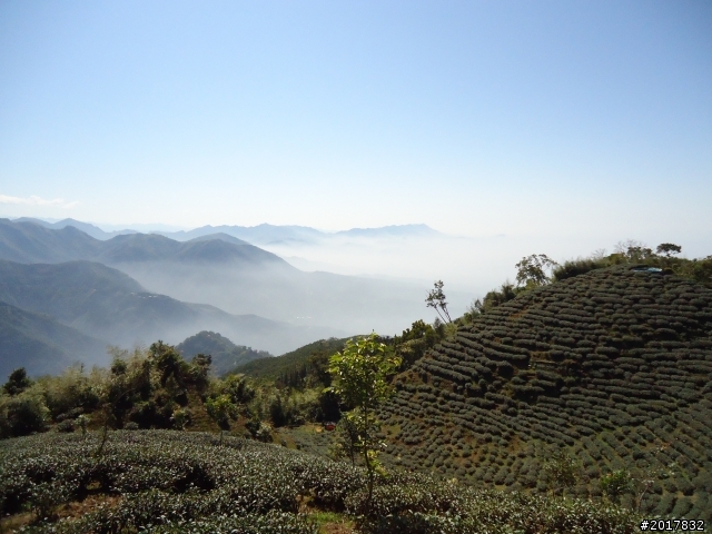 2012/01/27嘉義竹崎獨立山-大巃頂-安靖古道