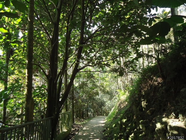 2012/01/27嘉義竹崎獨立山-大巃頂-安靖古道