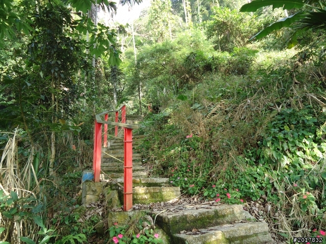 2012/01/27嘉義竹崎獨立山-大巃頂-安靖古道