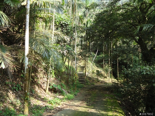 2012/01/27嘉義竹崎獨立山-大巃頂-安靖古道