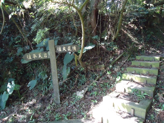 2012/01/27嘉義竹崎獨立山-大巃頂-安靖古道