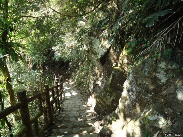 2012/01/27嘉義竹崎獨立山-大巃頂-安靖古道