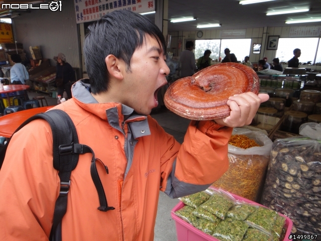 咦~~這樣也算環半島嗎??? 之拖稿很久篇