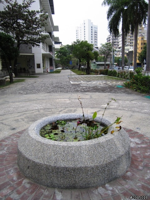 【城市漫遊Ⅳ】打狗懷舊驛站探尋與臨港線自行車道