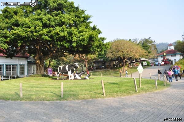 新年也要這樣玩 iMove尾牙烤肉花絮補閃幾光