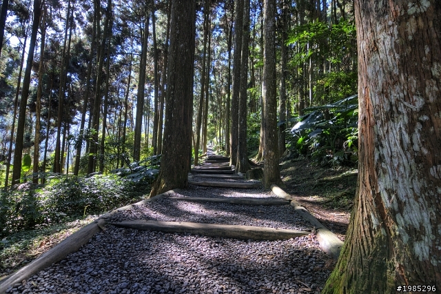 忘憂森林枯水期&夜探妖怪村