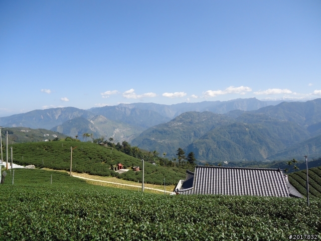 2012/01/27嘉義竹崎獨立山-大巃頂-安靖古道