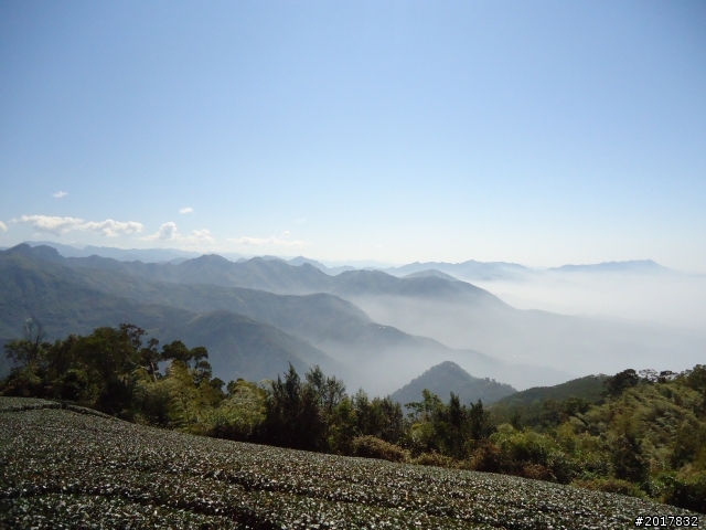 2012/01/27嘉義竹崎獨立山-大巃頂-安靖古道