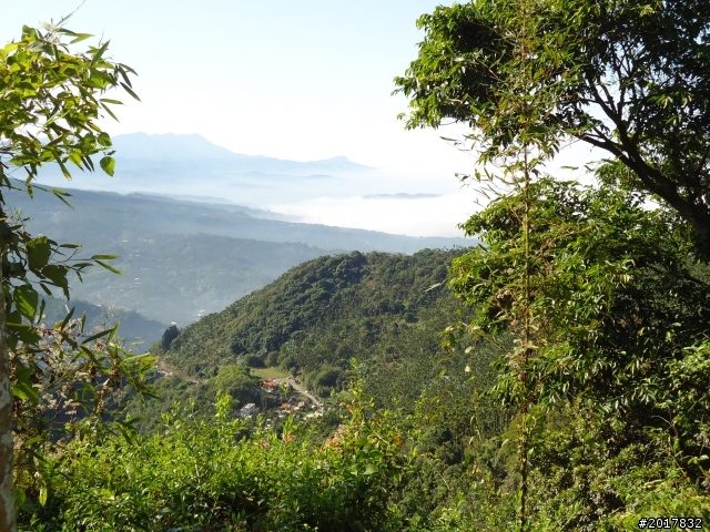 2012/01/27嘉義竹崎獨立山-大巃頂-安靖古道