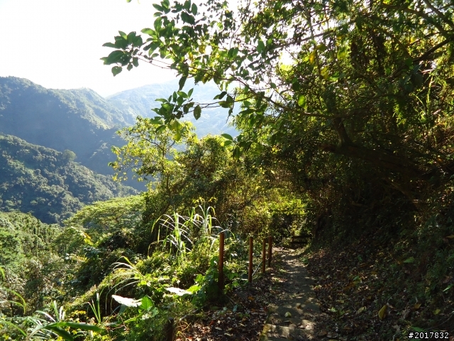 2012/01/27嘉義竹崎獨立山-大巃頂-安靖古道