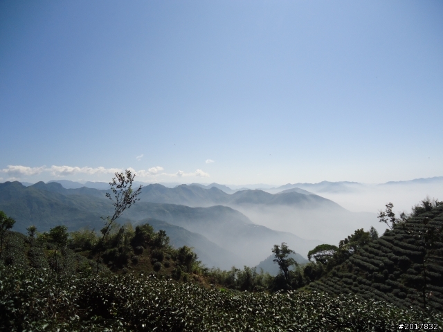 2012/01/27嘉義竹崎獨立山-大巃頂-安靖古道