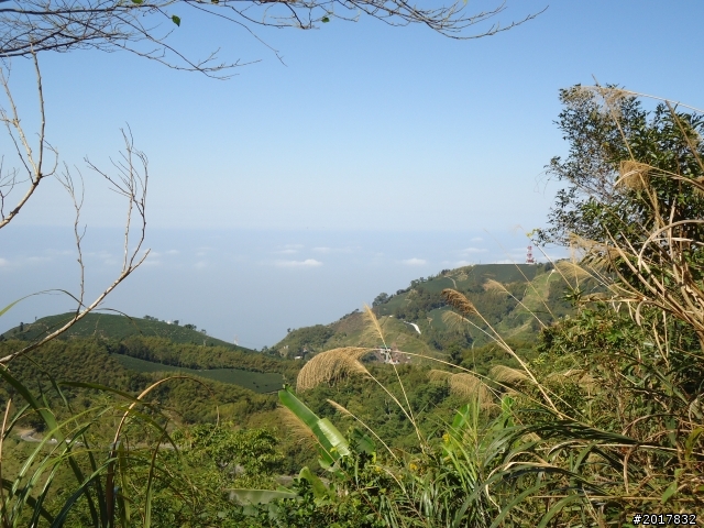 2012/01/27嘉義竹崎獨立山-大巃頂-安靖古道