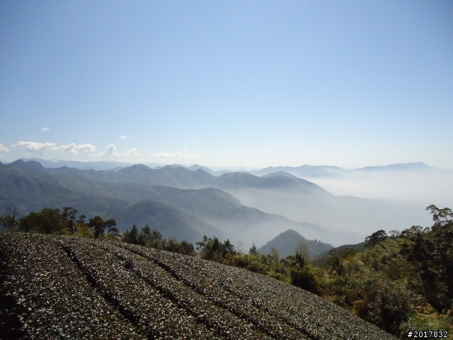2012/01/27嘉義竹崎獨立山-大巃頂-安靖古道