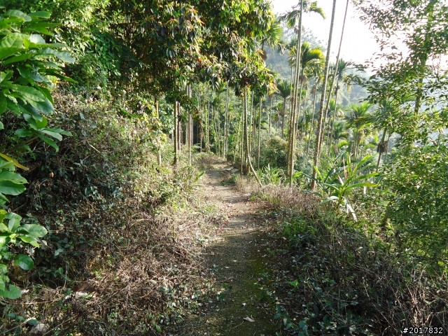 2012/01/27嘉義竹崎獨立山-大巃頂-安靖古道