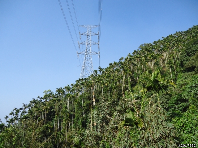 2012/01/27嘉義竹崎獨立山-大巃頂-安靖古道