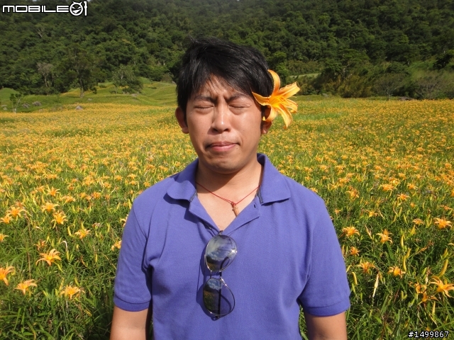 咦~~這樣也算環半島嗎??? 之拖稿很久篇