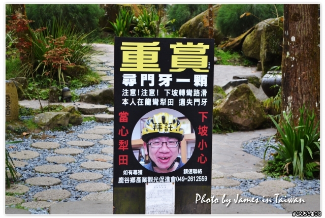 2011年12月最後一周環島遊記(圖多慎入)
