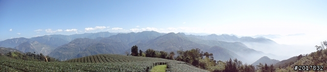 2012/01/27嘉義竹崎獨立山-大巃頂-安靖古道
