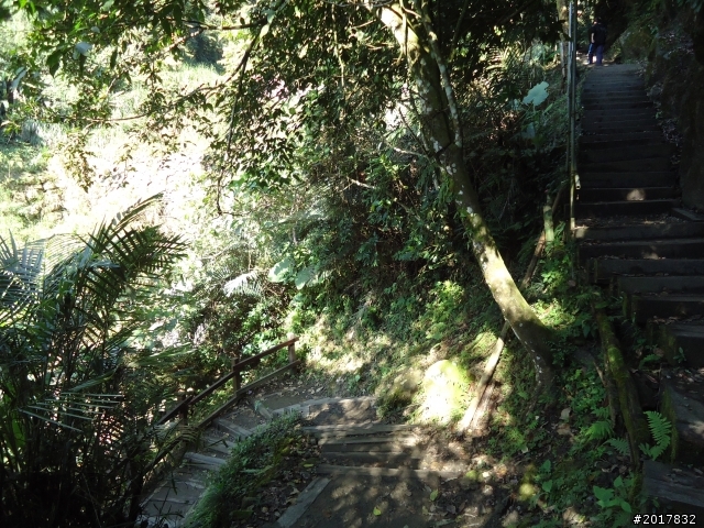 2012/01/27嘉義竹崎獨立山-大巃頂-安靖古道