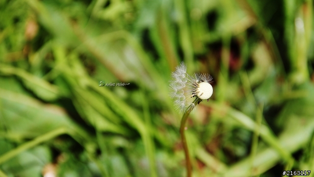 我的第一台數位單眼相機 Canon 600D