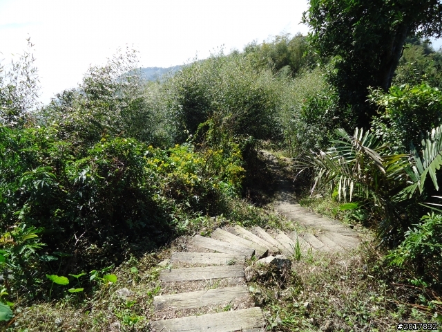 2012/01/27嘉義竹崎獨立山-大巃頂-安靖古道