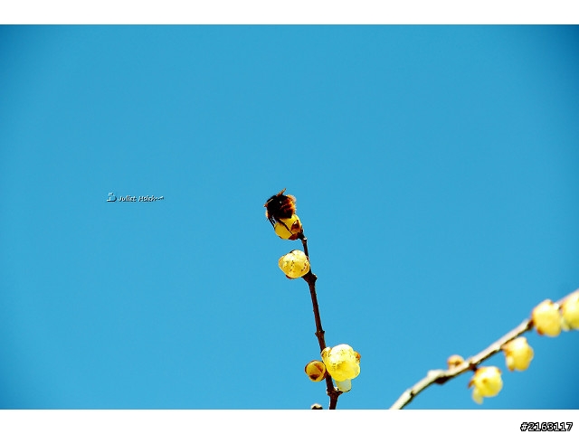 我的第一台數位單眼相機 Canon 600D