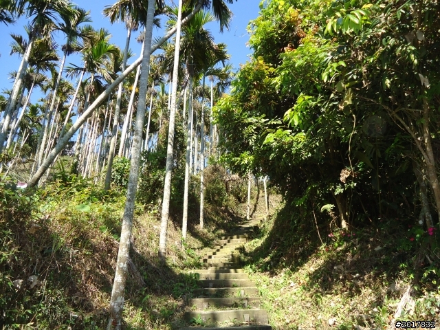 2012/01/27嘉義竹崎獨立山-大巃頂-安靖古道