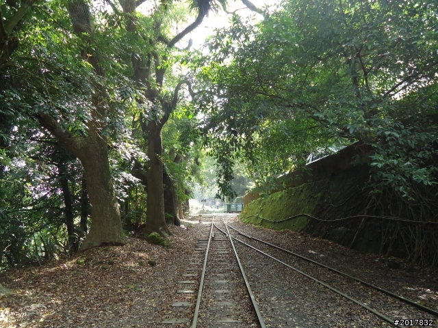 2012/01/27嘉義竹崎獨立山-大巃頂-安靖古道