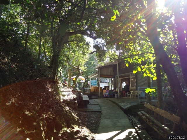 2012/01/27嘉義竹崎獨立山-大巃頂-安靖古道