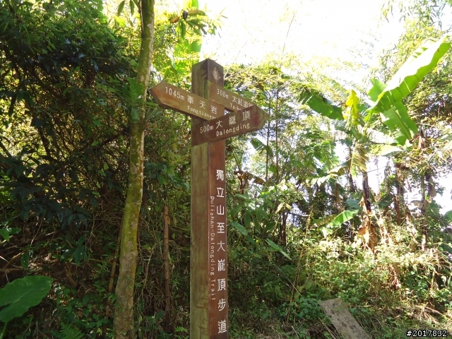 2012/01/27嘉義竹崎獨立山-大巃頂-安靖古道