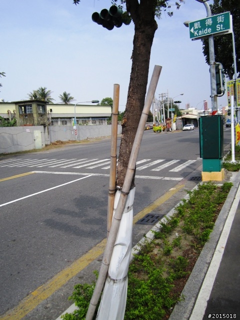 【城市漫遊Ⅳ】打狗懷舊驛站探尋與臨港線自行車道